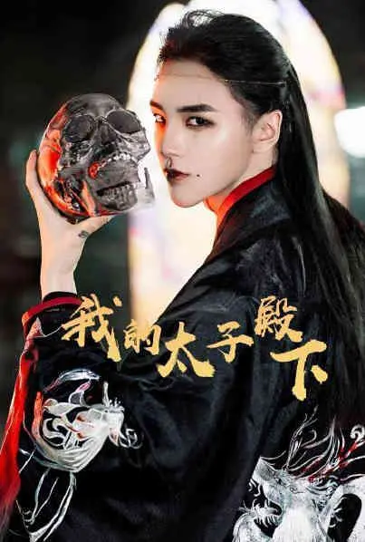 《我的太子殿下》：穿越时空的爱恋，爆笑又感人的古装喜剧