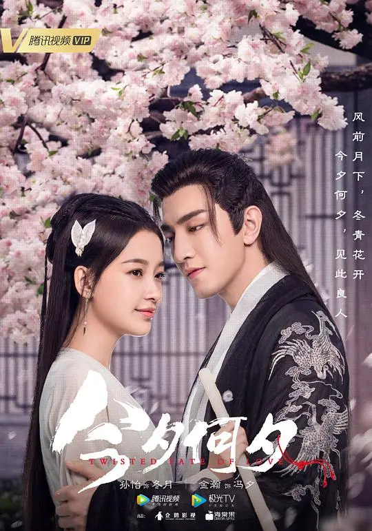 《今夕何夕》：战火下的爱情悲歌，冯宝宝倾情演绎乱世佳人