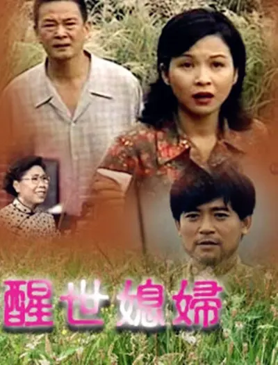 《醒世媳妇》：一场跌宕起伏的命运浮沉，女性觉醒与情感纠葛的史诗